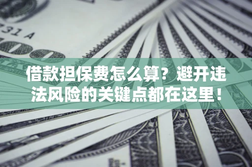 济南借款担保费怎么算？避开违法风险的关键点都在这里！