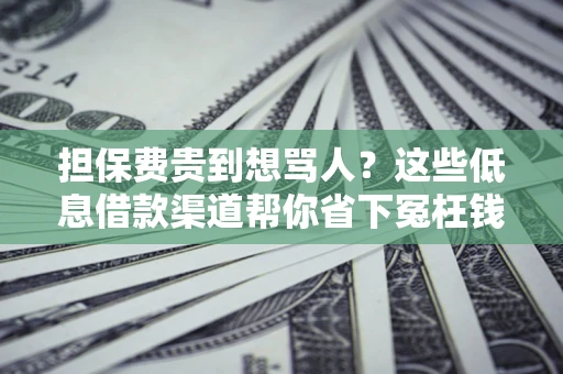 济南担保费贵到想骂人？这些低息借款渠道帮你省下冤枉钱