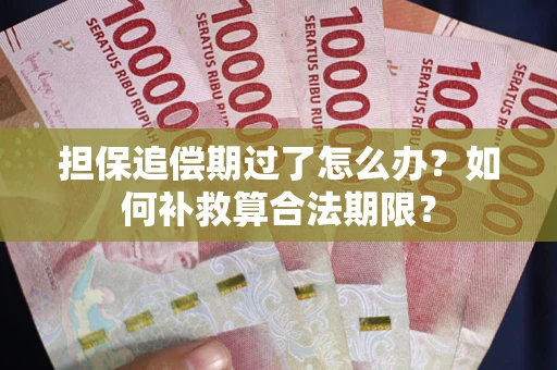 济南担保追偿期过了怎么办？如何补救算合法期限？