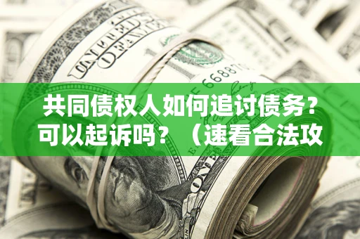 济南共同债权人如何追讨债务？可以起诉吗？（速看合法攻略）