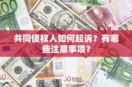 济南共同债权人如何起诉？有哪些注意事项？